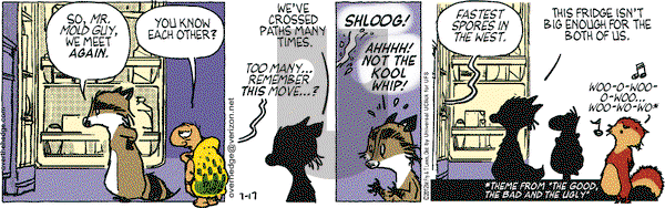 Over the Hedge on Tuesday July 17, 2012 Comic Strip