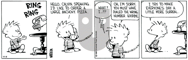 Calvin and Hobbes on Saturday November 9, 1991 Comic Strip