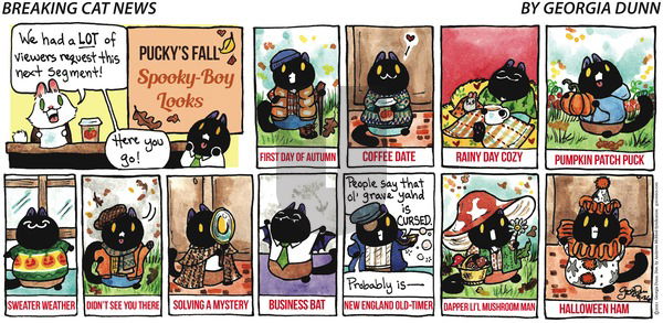 Breaking Cat News - Sunday September 26, 2021 Comic Strip