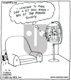 Kit 'N' Carlyle on Thursday December 13, 2001 Comic Strip