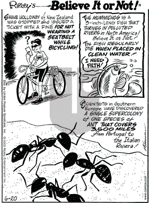 Ripley's Believe It or Not on Thursday June 20, 2002 Comic Strip