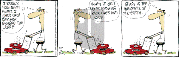The Duplex on Wednesday May 17, 2017 Comic Strip