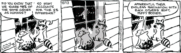 Over the Hedge - Tuesday June 13, 1995 Comic Strip