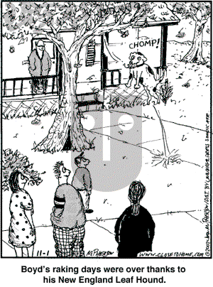 Close to Home on Thursday November 1, 2007 Comic Strip