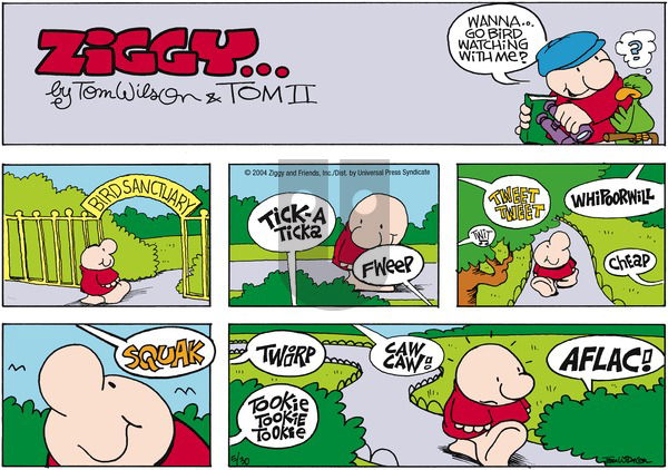Ziggy on Sunday May 30, 2004 Comic Strip
