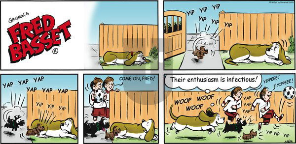 Fred Basset - Sunday December 4, 2011 Comic Strip