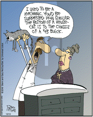 The Flying McCoys on Monday October 10, 2016 Comic Strip