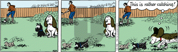 Fred Basset on Thursday December 6, 2012 Comic Strip