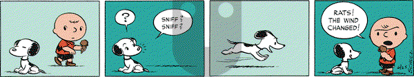 Peanuts Begins - Saturday June 22, 2024 Comic Strip