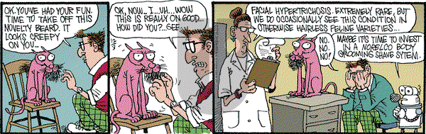 Monty on Saturday December 3, 2016 Comic Strip