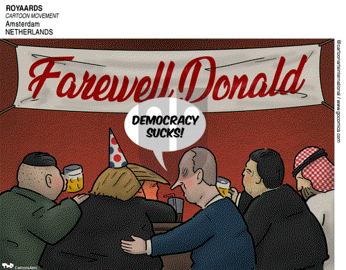 ViewsEurope on Tuesday November 10, 2020 Comic Strip