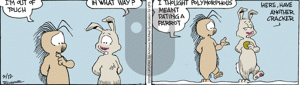 The Grizzwells on Wednesday February 12, 2025 Comic Strip