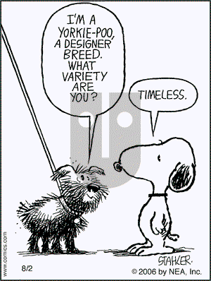 Moderately Confused on Friday August 11, 2006 Comic Strip