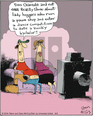The Flying McCoys on Thursday June 5, 2014 Comic Strip