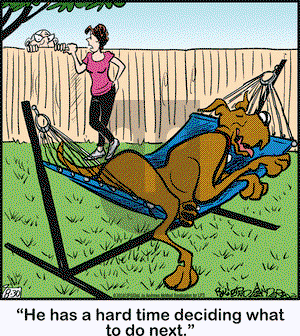 Marmaduke on Thursday August 30, 2018 Comic Strip