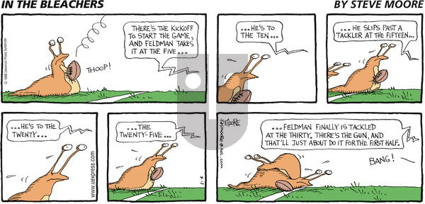 In the Bleachers on Sunday January 4, 1998 Comic Strip