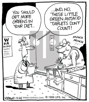 Reality Check - Saturday December 25, 1999 Comic Strip