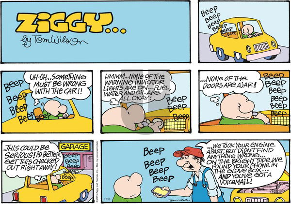 Ziggy on Sunday December 13, 2015 Comic Strip