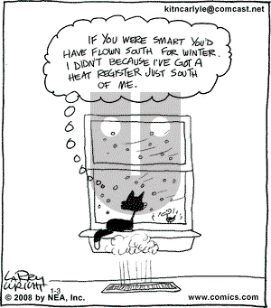 Kit 'N' Carlyle on Thursday January 3, 2008 Comic Strip
