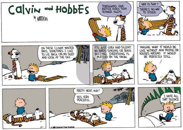 Calvin and Hobbes on Sunday December 28, 1986 Comic Strip