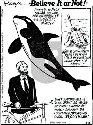 Ripley's Believe It or Not on Tuesday March 3, 1998 Comic Strip