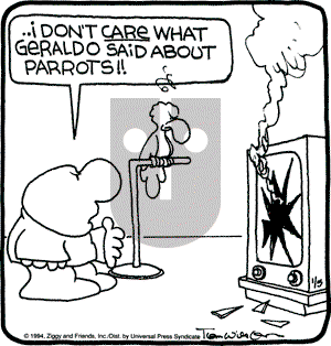 Ziggy on Wednesday January 5, 1994 Comic Strip