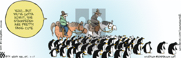 Non Sequitur on Monday February 17, 2014 Comic Strip