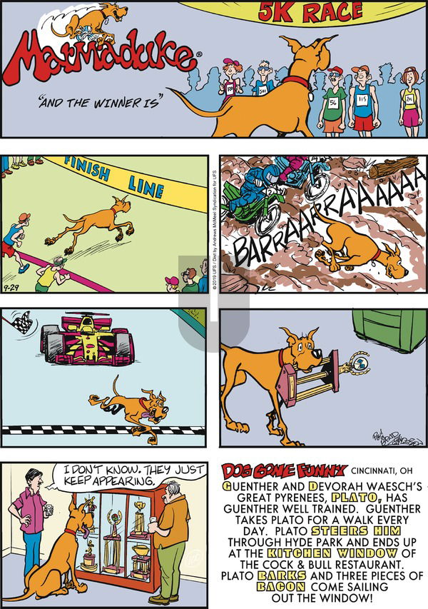 Marmaduke on Sunday September 29, 2019 Comic Strip