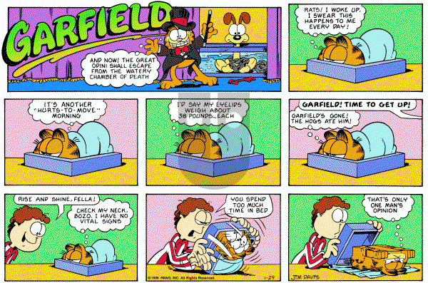 Garfield on Sunday January 29, 1989 Comic Strip
