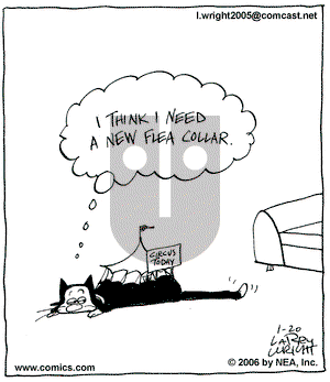 Kit 'N' Carlyle on Friday January 20, 2006 Comic Strip