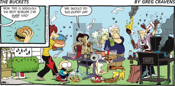 The Buckets on Sunday July 5, 2015 Comic Strip