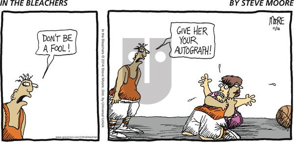 In the Bleachers - Sunday November 16, 2014 Comic Strip