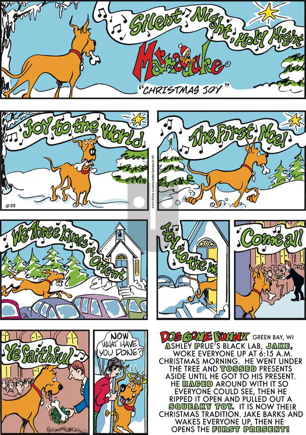 Marmaduke on Sunday December 22, 2019 Comic Strip