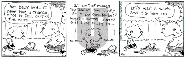 Soup to Nutz - Old on Monday April 24, 2000 Comic Strip