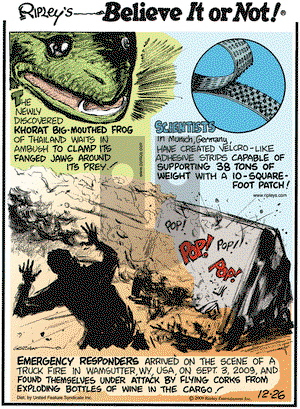 Ripley's Believe It or Not - Saturday December 26, 2009 Comic Strip