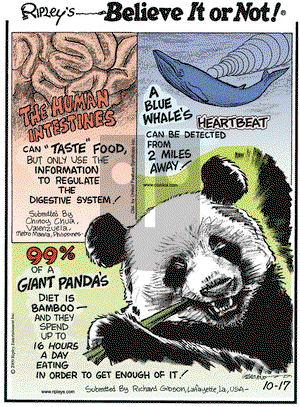 Ripley's Believe It or Not on Saturday October 17, 2009 Comic Strip