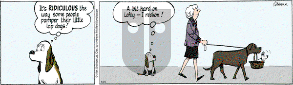 Fred Basset - Tuesday June 25, 2024 Comic Strip