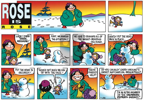 Rose is Rose on Sunday January 25, 2015 Comic Strip