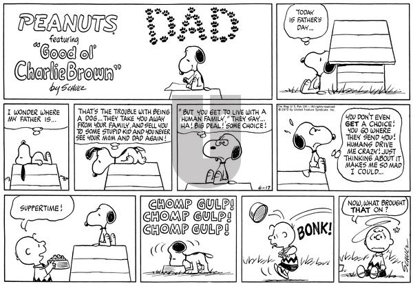 Peanuts on Sunday June 17, 1973 Comic Strip