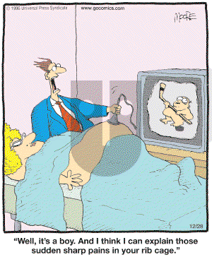 In the Bleachers - Friday December 28, 2007 Comic Strip