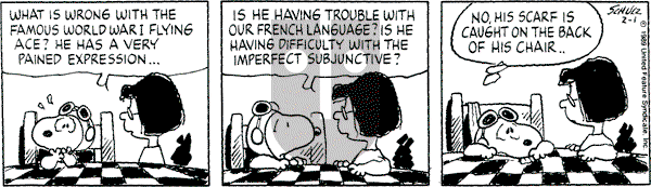 Peanuts - Wednesday February 1, 1989 Comic Strip