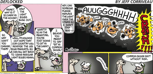 DeFlocked on Sunday April 27, 2025 Comic Strip