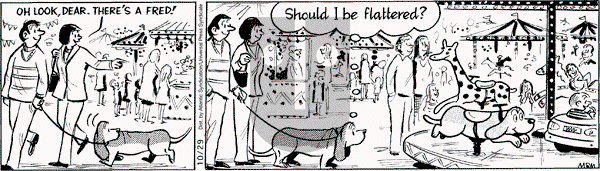 Fred Basset on Wednesday October 29, 2008 Comic Strip