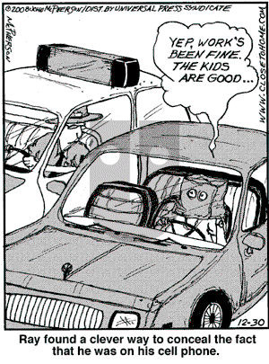 Close to Home - Tuesday December 30, 2008 Comic Strip