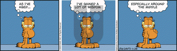 Garfield - Tuesday November 28, 2023 Comic Strip
