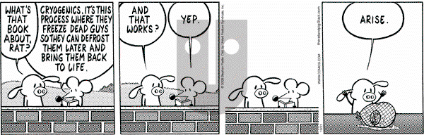 Pearls Before Swine on Friday October 31, 2008 Comic Strip