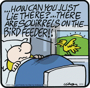 Ziggy on Wednesday February 10, 2021 Comic Strip