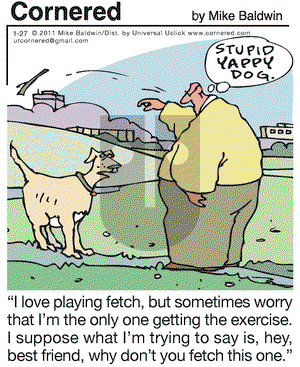 Cornered on Thursday January 27, 2011 Comic Strip