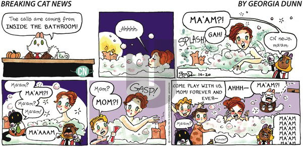 Breaking Cat News on Sunday October 20, 2019 Comic Strip