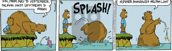 The Grizzwells - Tuesday August 6, 2024 Comic Strip